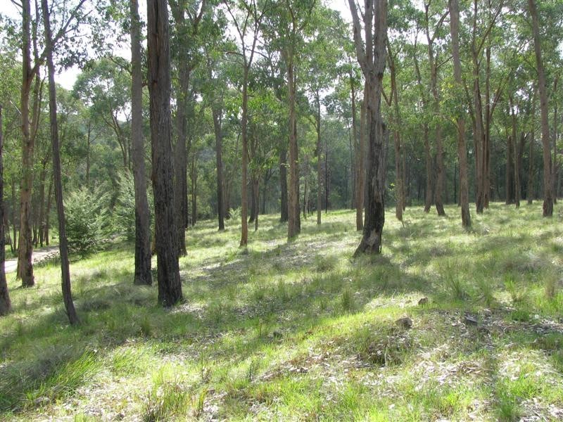 81 Yellow Box Ridge, Acheron VIC 3714