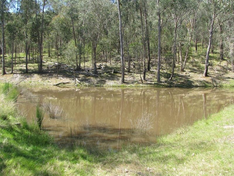 81 Yellow Box Ridge, Acheron VIC 3714