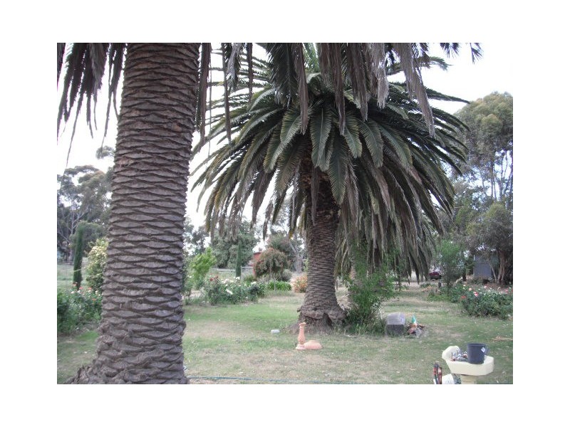 Rochester VIC 3561