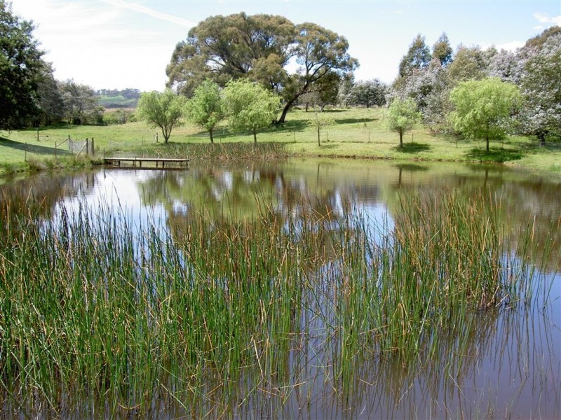 69 Parkview Drive, Lancefield VIC 3435