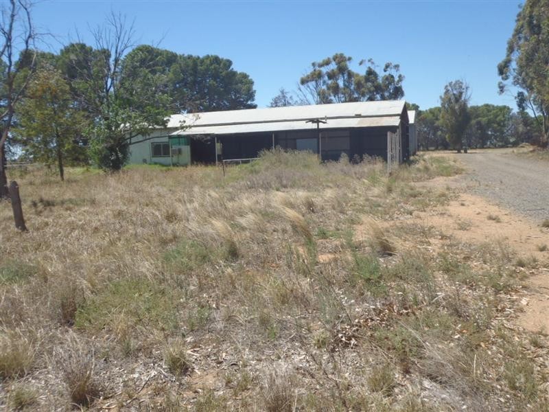 FARM 588 GILBERT ROAD, Coleambally NSW 2707