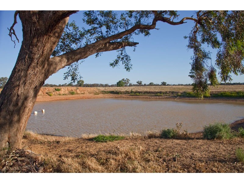 Womboota NSW 2731