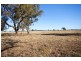 Womboota NSW 2731