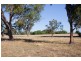 Womboota NSW 2731