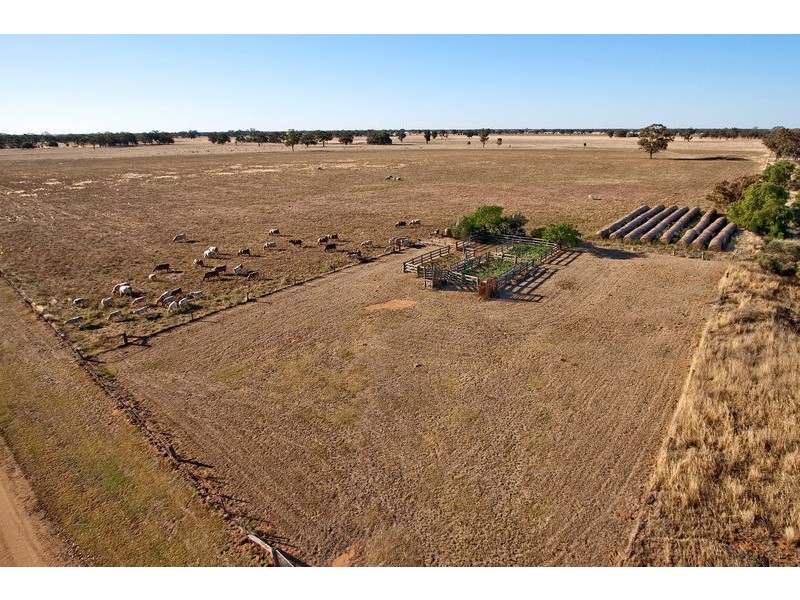 Womboota NSW 2731