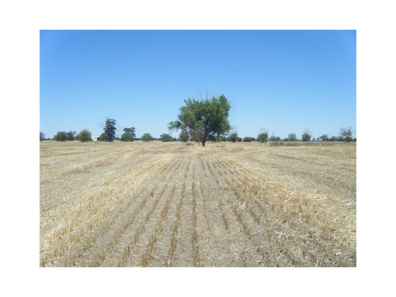 0 Stone Lane, Rochester VIC 3561