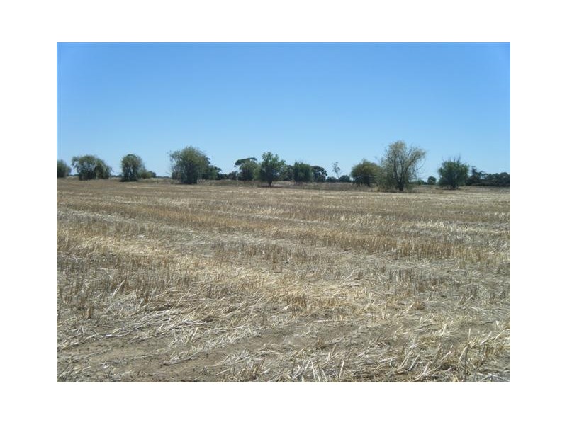 0 Stone Lane, Rochester VIC 3561