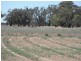 6976 Northern Highway, Rochester VIC 3561