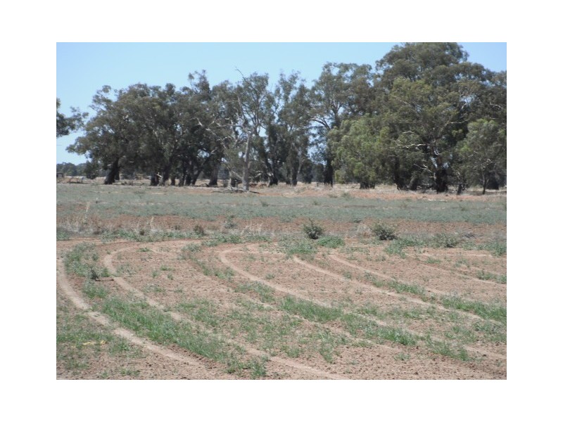 6976 Northern Highway, Rochester VIC 3561