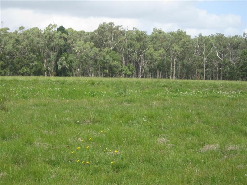 Condah VIC 3303