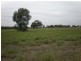 31 Flanagans Lane, Deniliquin NSW 2710