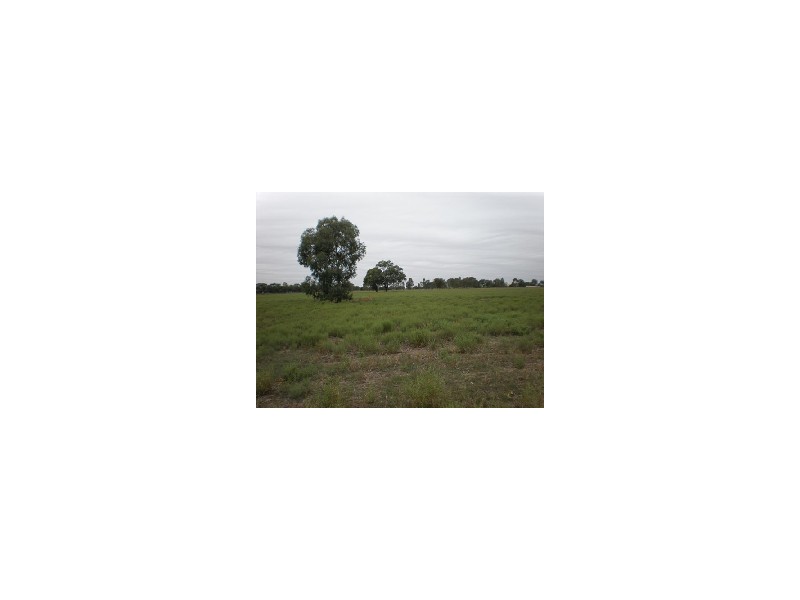 31 Flanagans Lane, Deniliquin NSW 2710