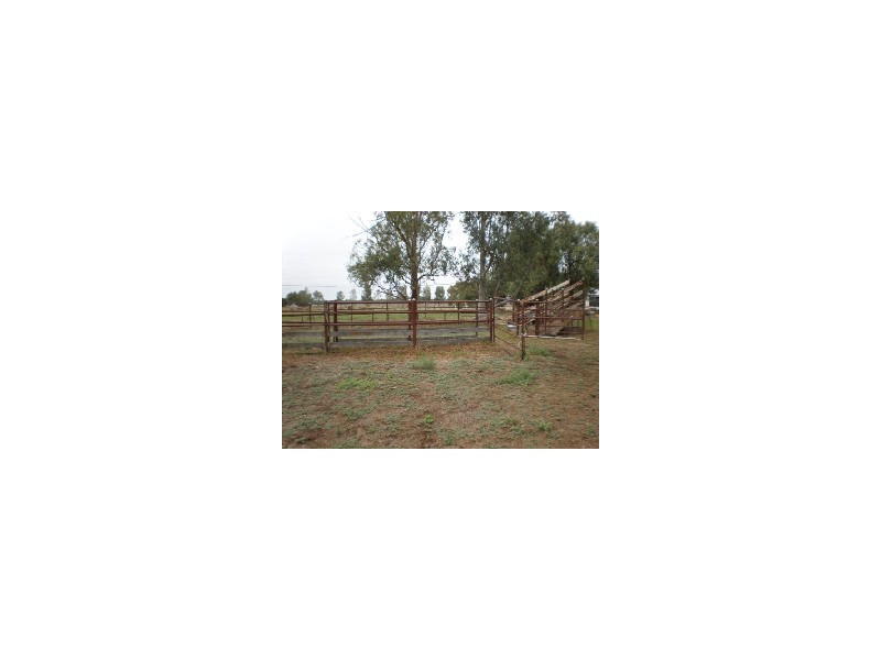 31 Flanagans Lane, Deniliquin NSW 2710