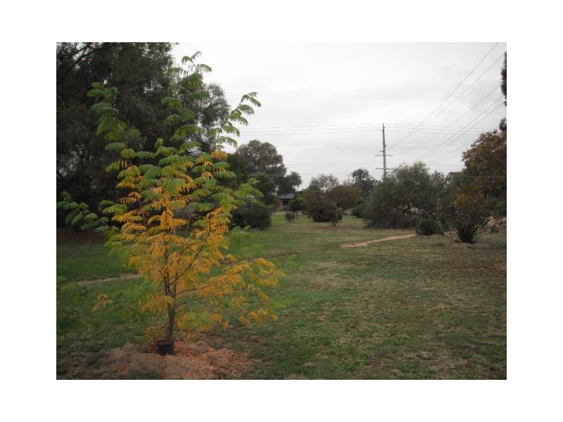 Rochester VIC 3561