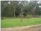 Kilmore East VIC 3764