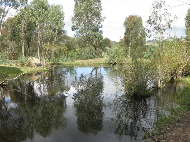 9 Back Johnston Creek Rd, Alexandra VIC 3714