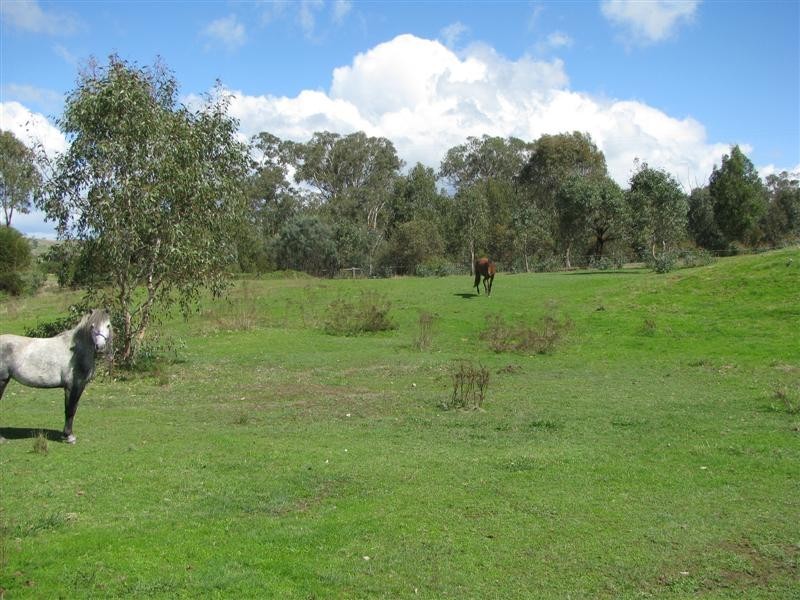 9 Back Johnston Creek Rd, Alexandra VIC 3714