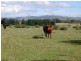 Kilmore VIC 3764