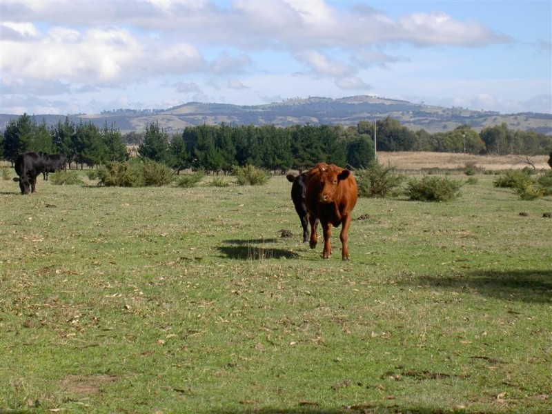 Kilmore VIC 3764