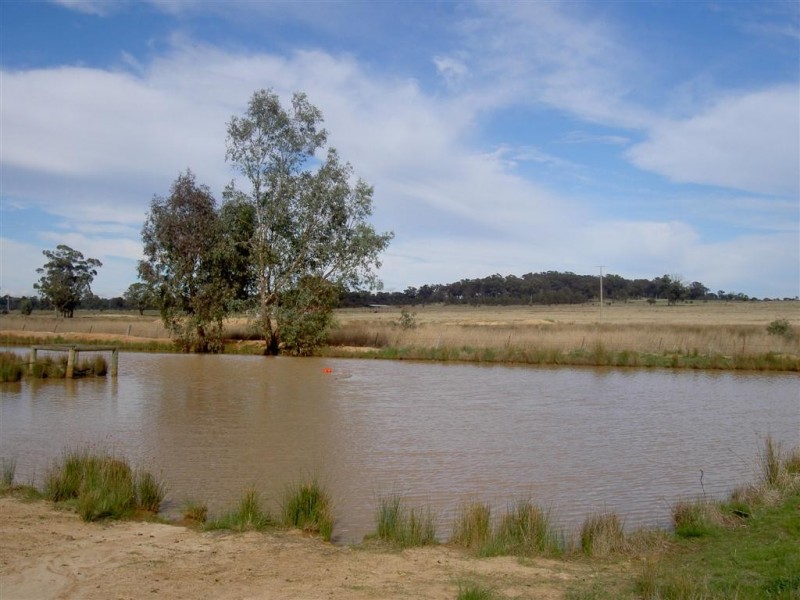 Seymour VIC 3660