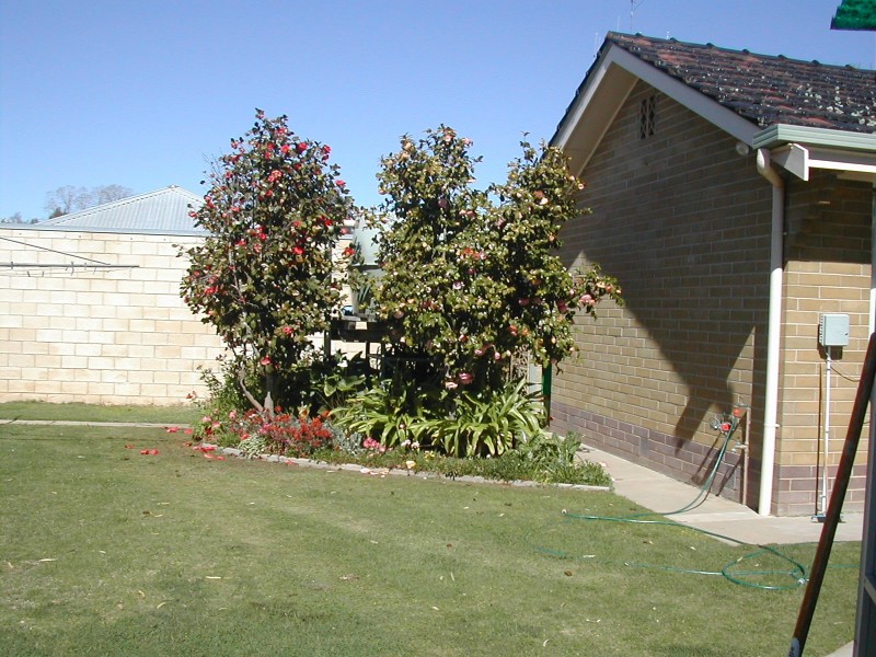 86 King Edward Street, Cohuna VIC 3568