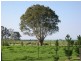 544 Velore Road, Denison VIC 3858
