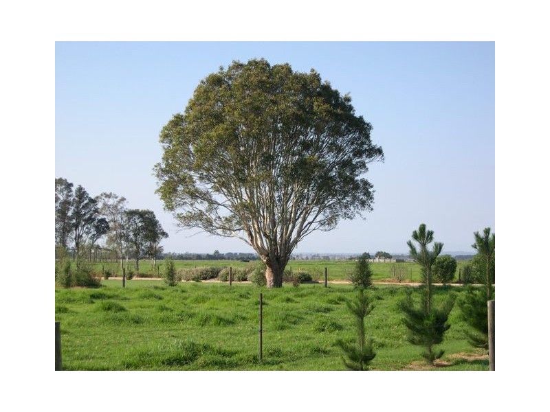544 Velore Road, Denison VIC 3858