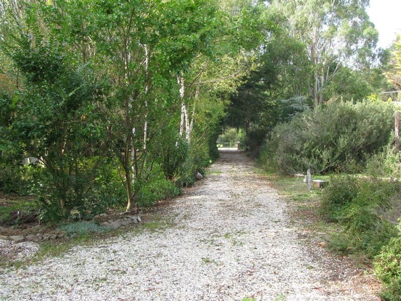29 Mareeba Ave,, Buxton VIC 3711