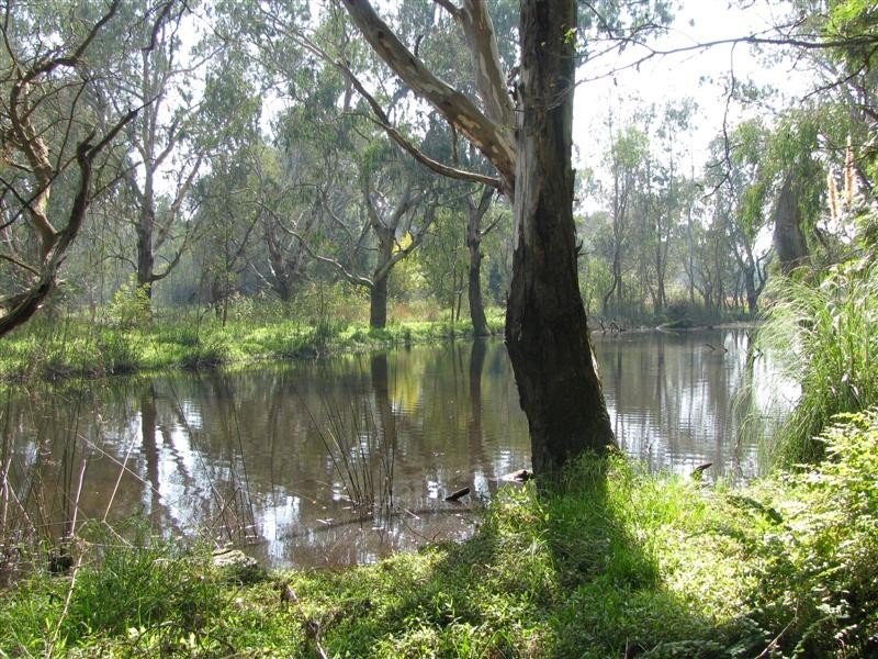 21 Giffard Street, Yea VIC 3717