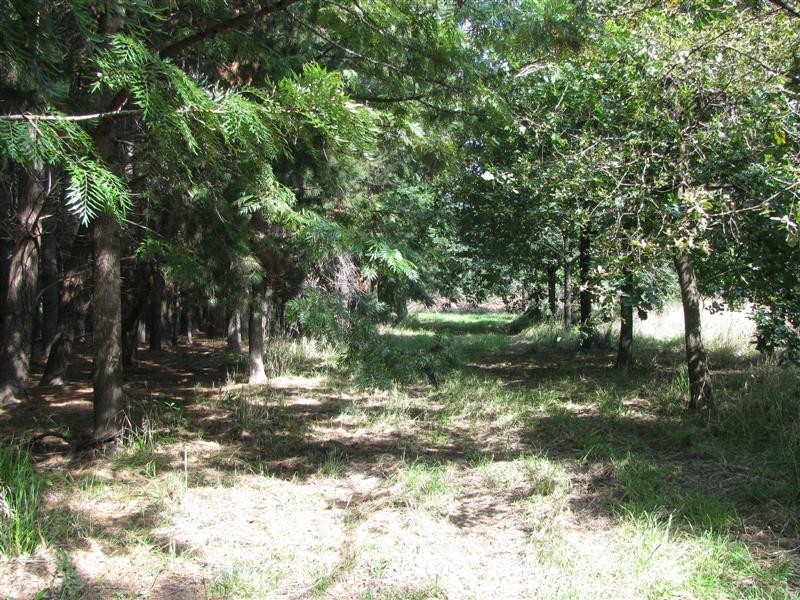 21 Giffard Street, Yea VIC 3717