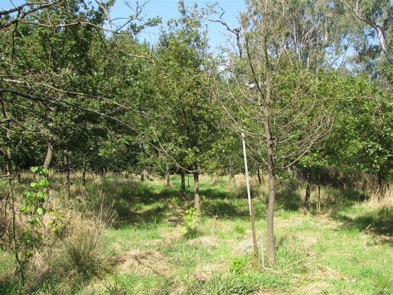 21 Giffard Street, Yea VIC 3717