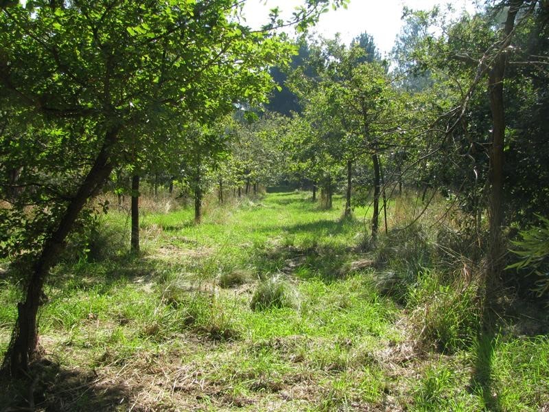 21 Giffard Street, Yea VIC 3717