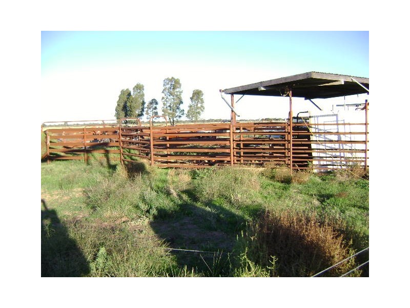 499 Murphy Lake Road, Kerang VIC 3579