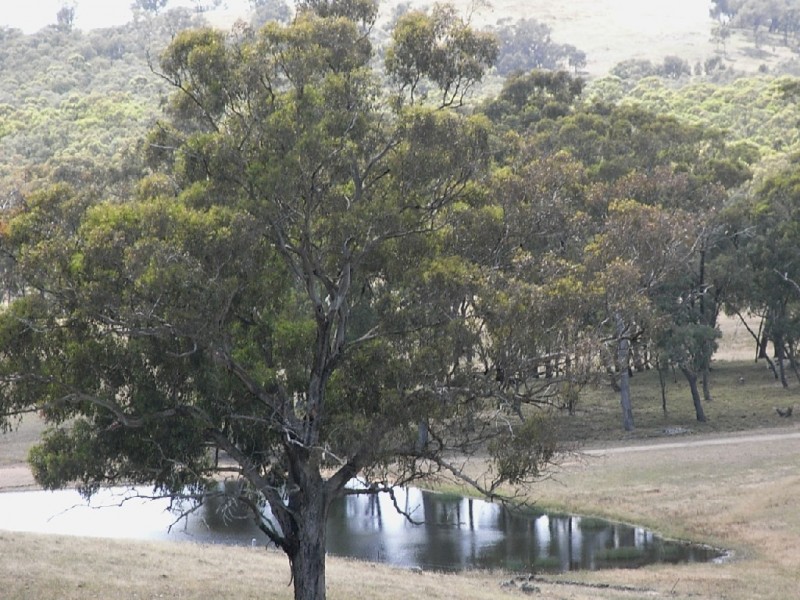 384 DOLES ROAD, Axe Creek VIC 3551