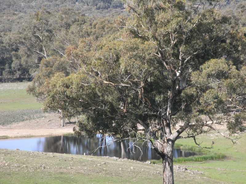 384 DOLES ROAD, Axe Creek VIC 3551