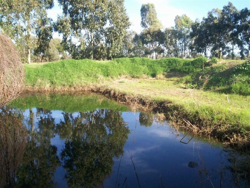 Berrigan NSW 2712
