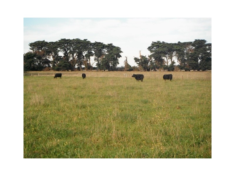 596 Settlement Road, Kilmany VIC 3851