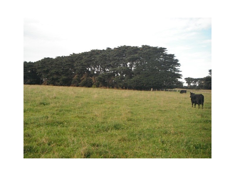 596 Settlement Road, Kilmany VIC 3851