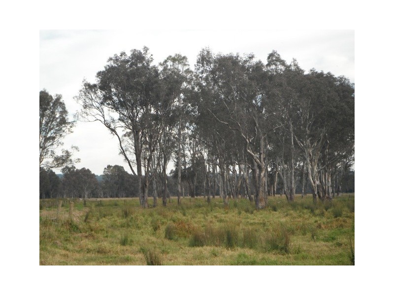 596 Settlement Road, Kilmany VIC 3851