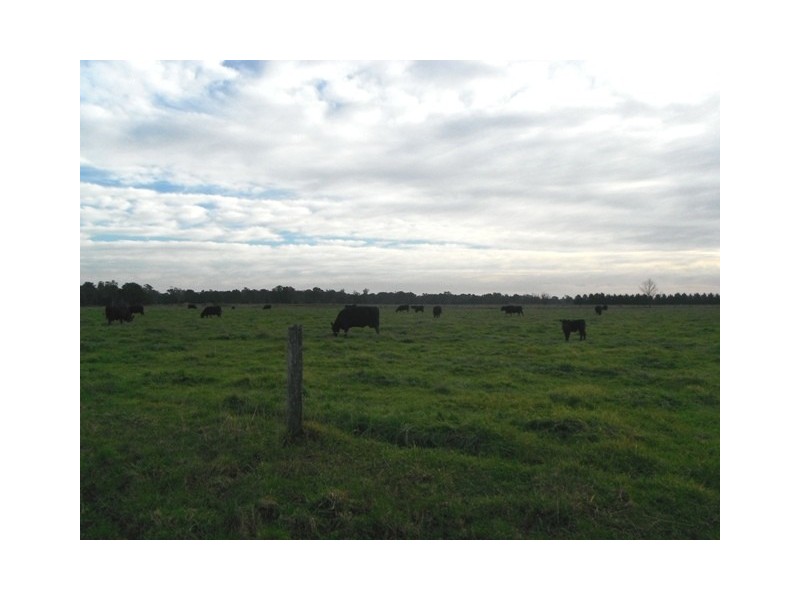 596 Settlement Road, Kilmany VIC 3851