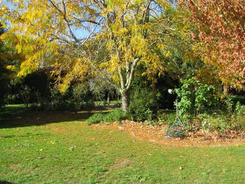 Buxton VIC 3711