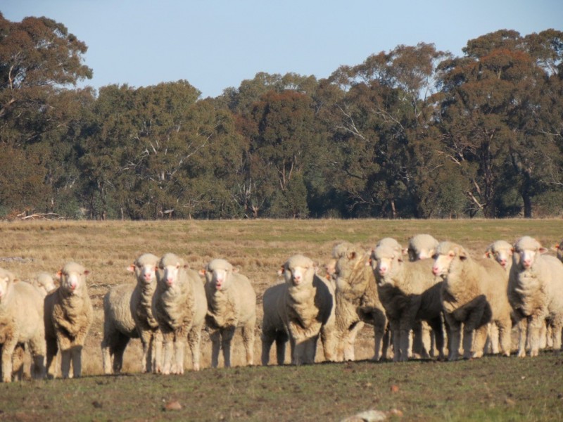 Redesdale VIC 3444