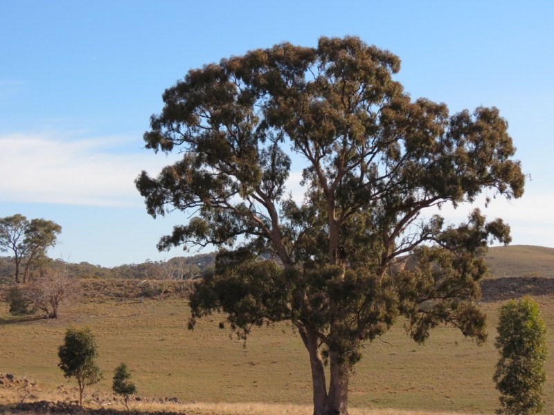 Redesdale VIC 3444