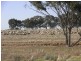 Maldon VIC 3463