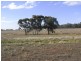 Maldon VIC 3463