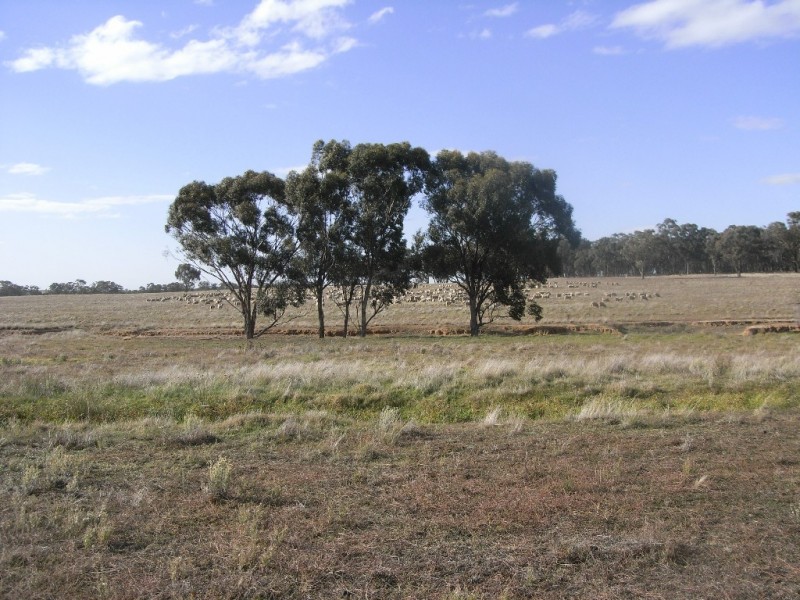 Maldon VIC 3463