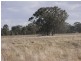 Maldon VIC 3463