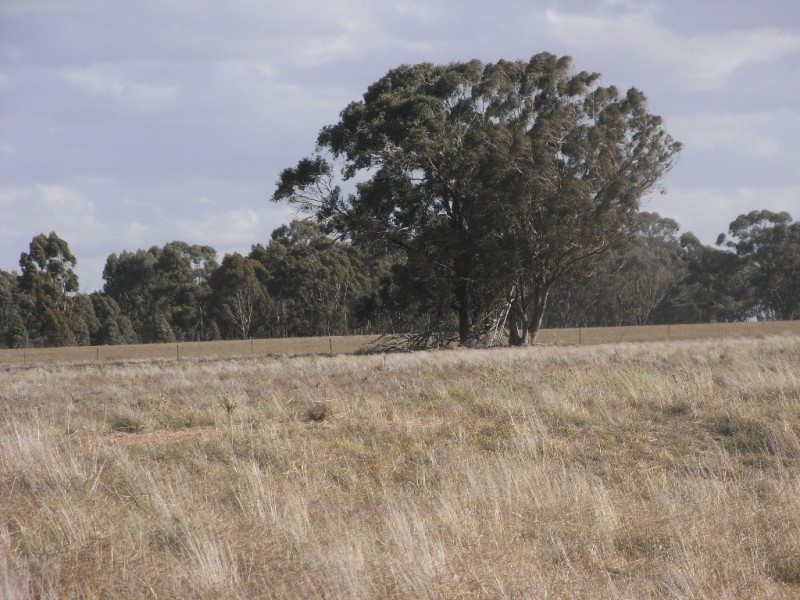 Maldon VIC 3463