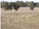 Maldon VIC 3463