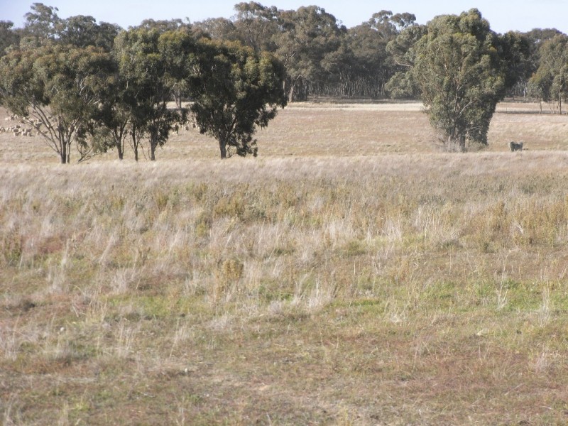 Maldon VIC 3463